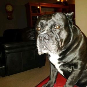 Meet your Posher, Tim